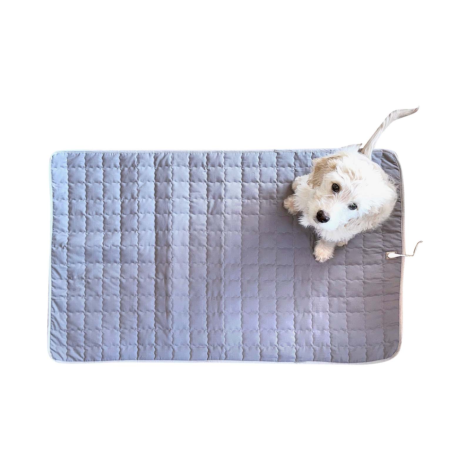 Dog mat best sale