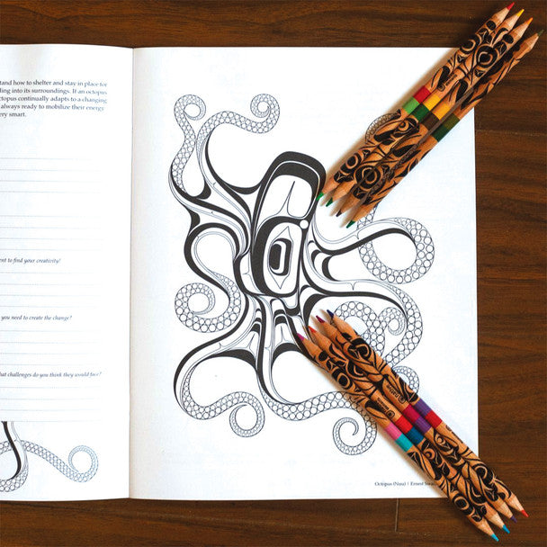 Indigenous Art Colouring Pencils - 24 Colours