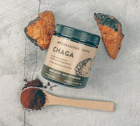 Plant Powered Mushroom Medicine - Chaga