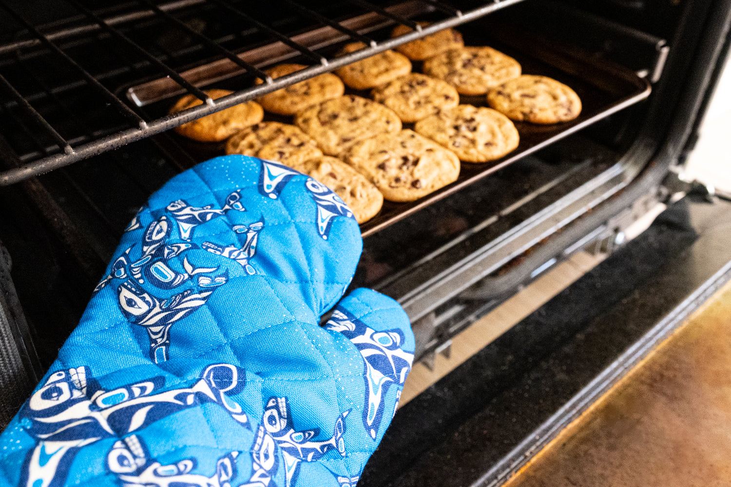 Indigenous Art Single Oven Mitt